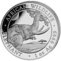Stříbrná mince 1 Oz Slon 2023 Somálsko