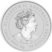 Stříbrná mince Rok králíka 1000 g 2023