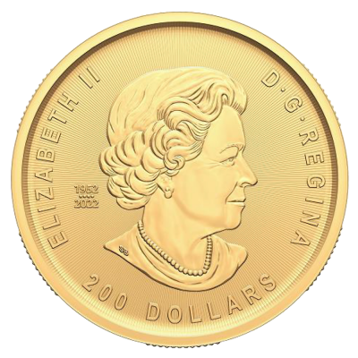 Zlatá mince Klondike Zlatá horečka - Cesta ke zlatu 2023, 1 oz 
