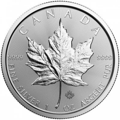 Stříbrná mince Maple Leaf 2026, 1 oz - Investiční paket po 25 kusech