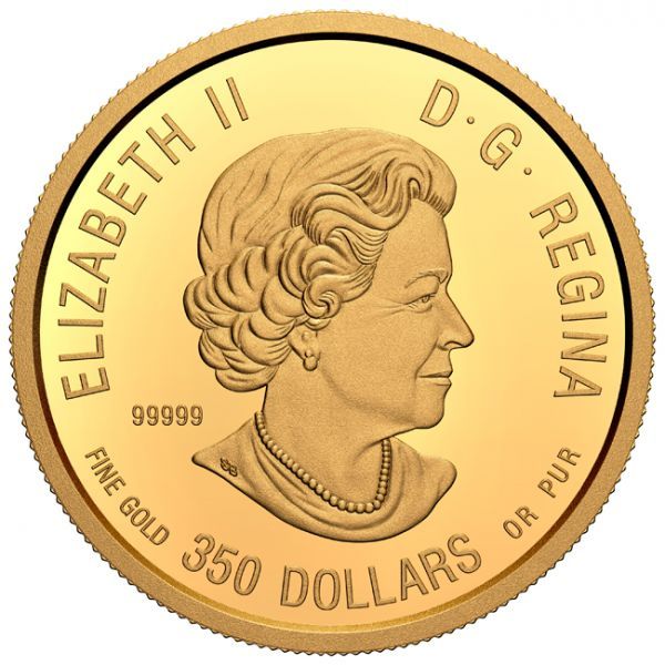 350 dolar Zlatá mince Sob polární - třetí díl úspěšné série kanadských portrétů divoké zvěře