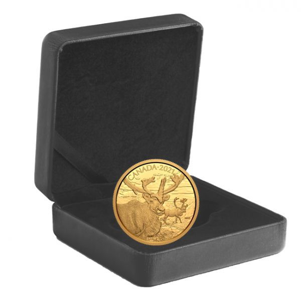 350 dolar Zlatá mince Sob polární - třetí díl úspěšné série kanadských portrétů divoké zvěře