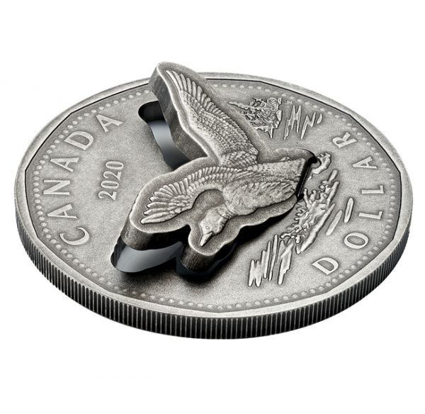 1 dolar Stříbrná mince Letící potáplice - nejnovější inovace z Královské kanadské mincovny