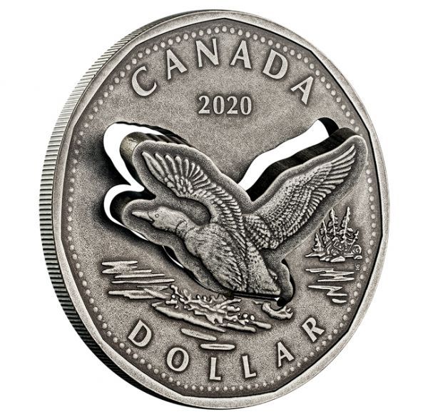 1 dolar Stříbrná mince Letící potáplice - nejnovější inovace z Královské kanadské mincovny