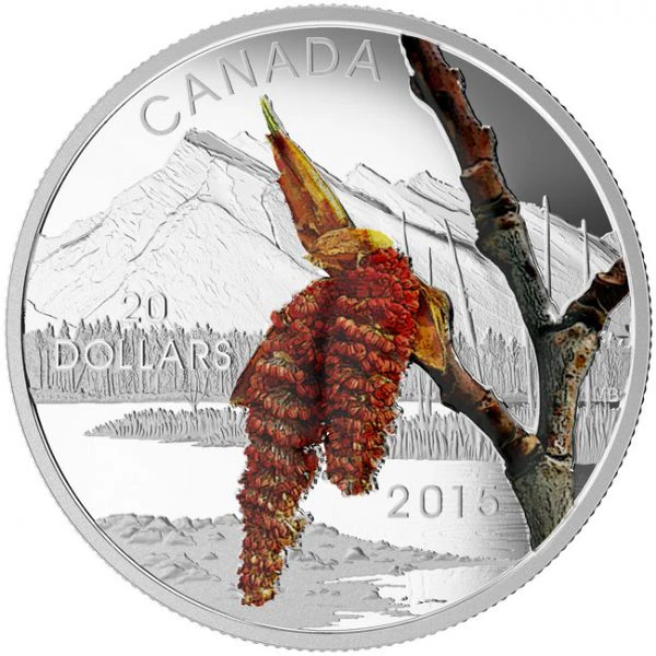 20 dolar Stříbrná mince Kanadské lesy - Topol PP