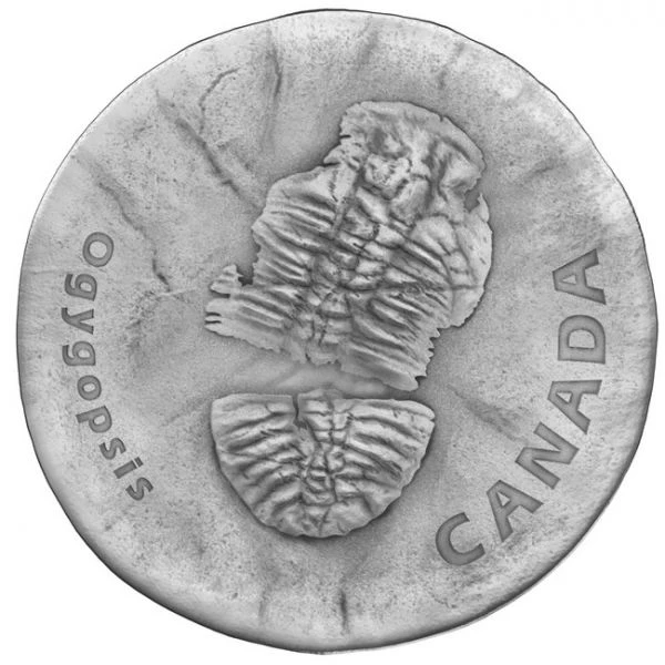 Trilobit Ogygopsis, 1 oz stříbra