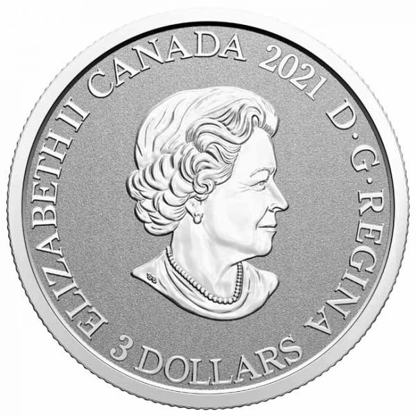 3 dolar Stříbrná mince Newfoundland & Labrador: Láčkovka