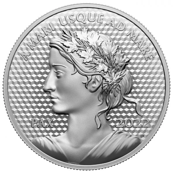 Stříbrná mince Mírový dolar 5 uncí