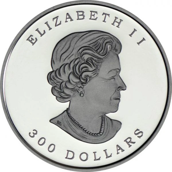 300 dolar Platinová mince Maple Leaf Forever 1 Oz PP