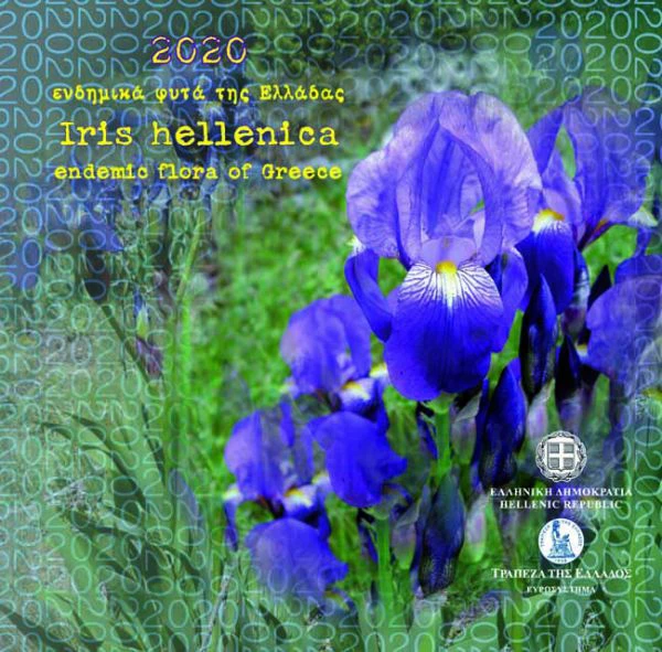 Kosatec - Iris Hellenica, CuNi