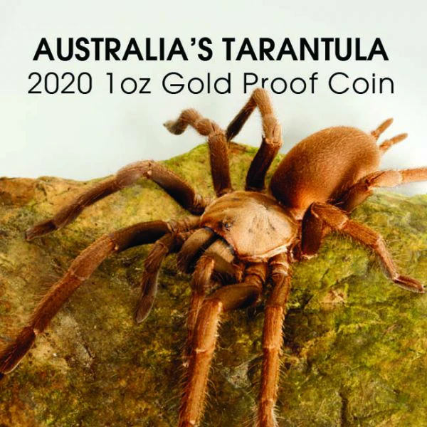 100 dolar Zlatá mince Tarantule 1 Oz