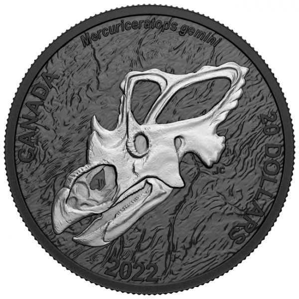 Mercuriceratops gemini, 1 oz stříbra se selektivním rhodiem
