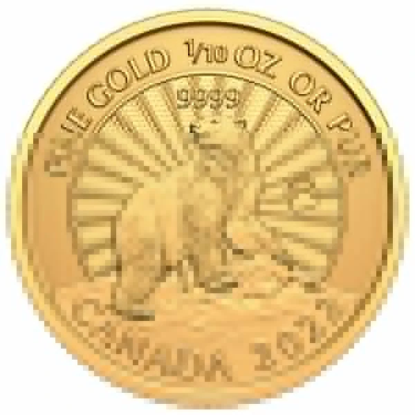 Majestátní lední medvěd 1/10 unce zlata v blistru