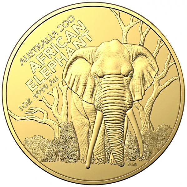 Afrikanischer Elefant 1 Unze Gold