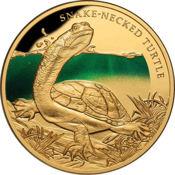 Chelodina - želva s hadím krkem, 1 oz zlata