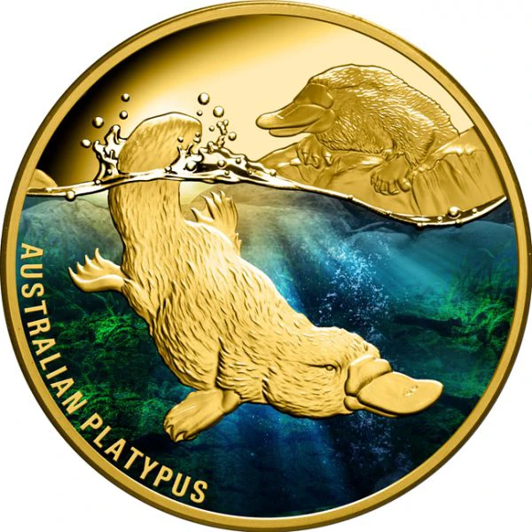 Platypus australský 1 oz zlata