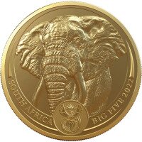 Big Five - Slon 2023, 1 oz zlata