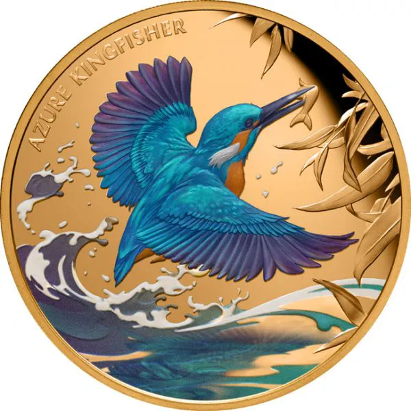 Azurový ledňáček, 1 oz zlata