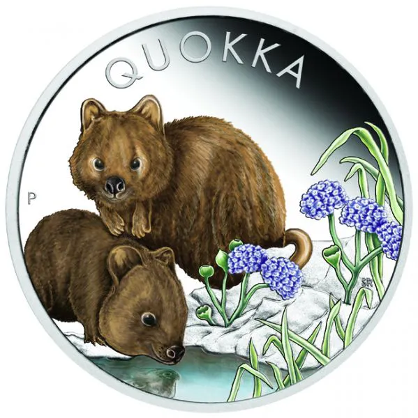 Australská kvokka
