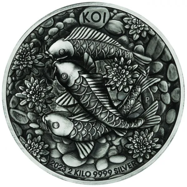 Ryby Koi, 2 kg stříbra