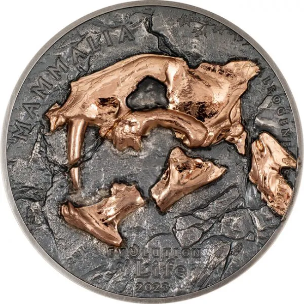 Nimravidae (nepravé šavlozubé kočkovité šelmy), 1 oz stříbra