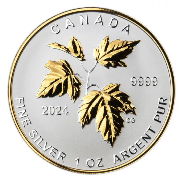 Kanadské podzimní krásy 2024, stříbrná mince
