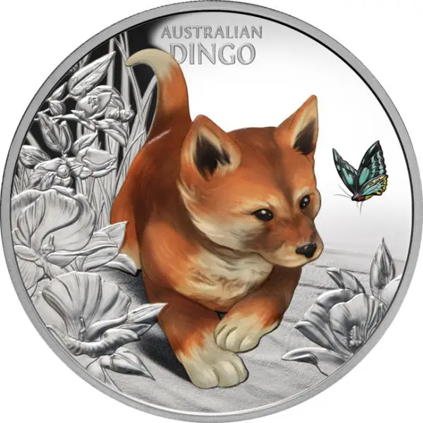 Australský Dingo 2024, 1 oz stříbra