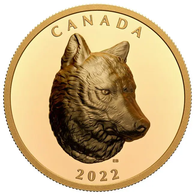 Timberwolf, poslední vydání úspěšné série kanadských Wildlife Portraits