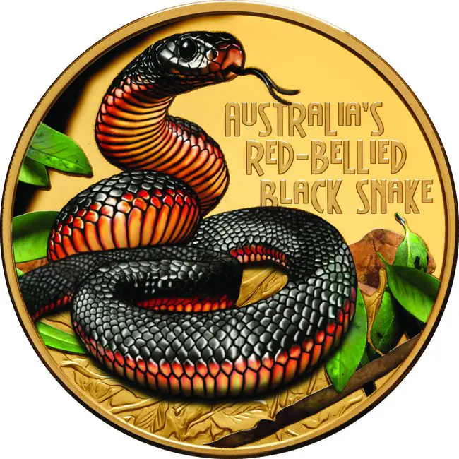 Smrtelný a nebezpečný - Pakobra červenobřichá