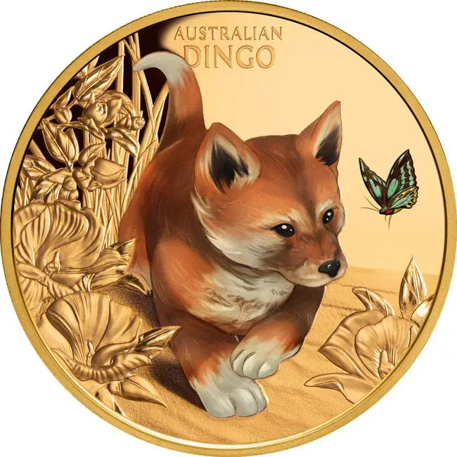 Australský Dingo, 1 oz zlata