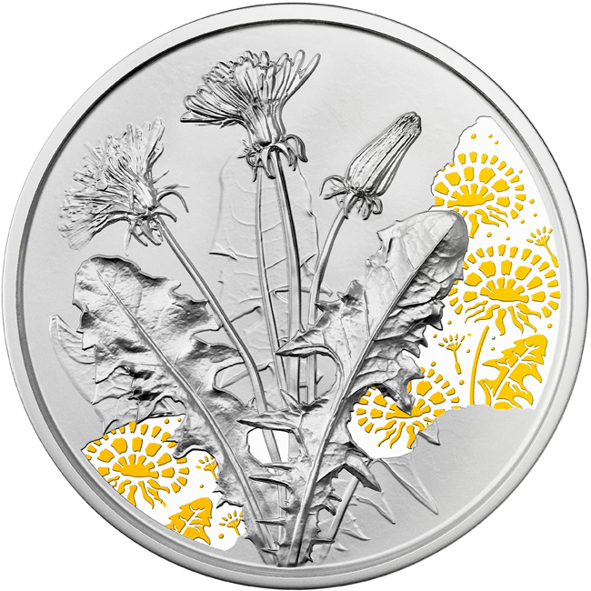 Pampeliška, 1/2 oz stříbra v etuji