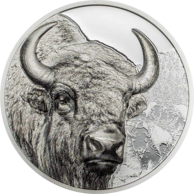 Divoké Mongolsko - Zubr 2025, 1 oz stříbra