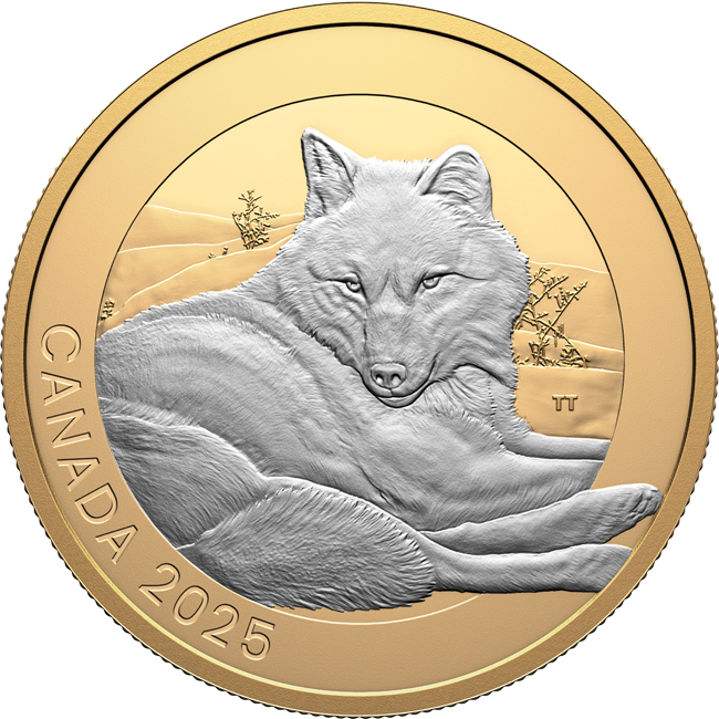 Portréty zvířat: Vlk šedý 2025, 1 oz stříbra v etuji