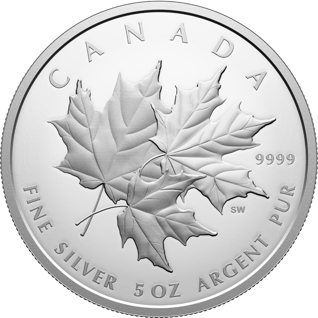 Trojitý Maple Leaf 2025, 5 oz stříbra v etuji