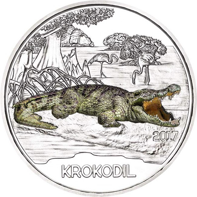 Krokodýl