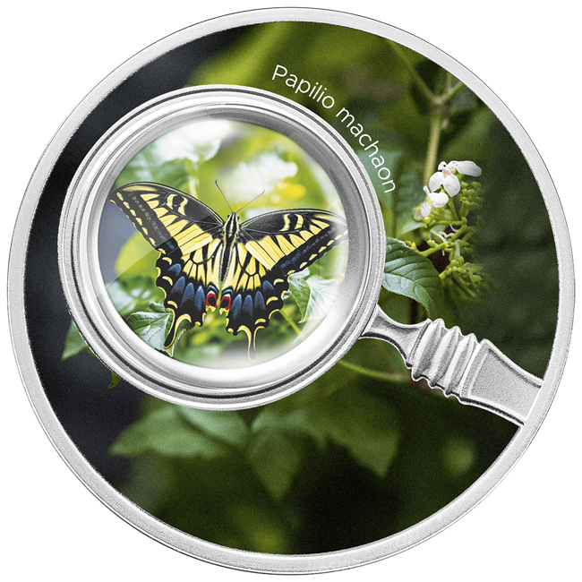 Otakárek fenyklový (Papilio Machaon) 2024, stříbrná mince