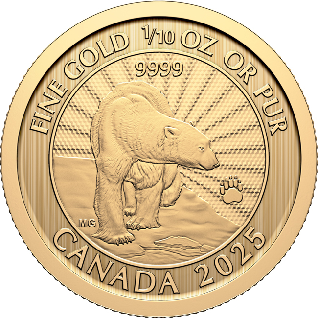 Majestátní lední medvěd 2025, 1/10 oz zlata v blistru