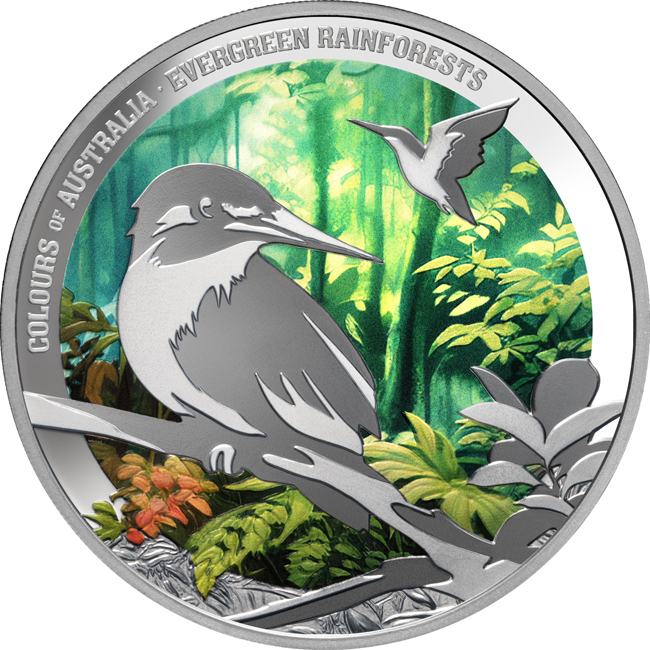 Stálezelený deštný prales, 1 oz stříbra v etuji