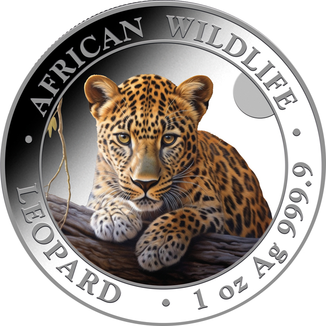 Leopard 2025, 1 oz stříbra v kapsli, v barvě