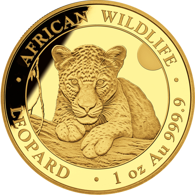 Leopard 2025, 1 oz zlata v kapsli