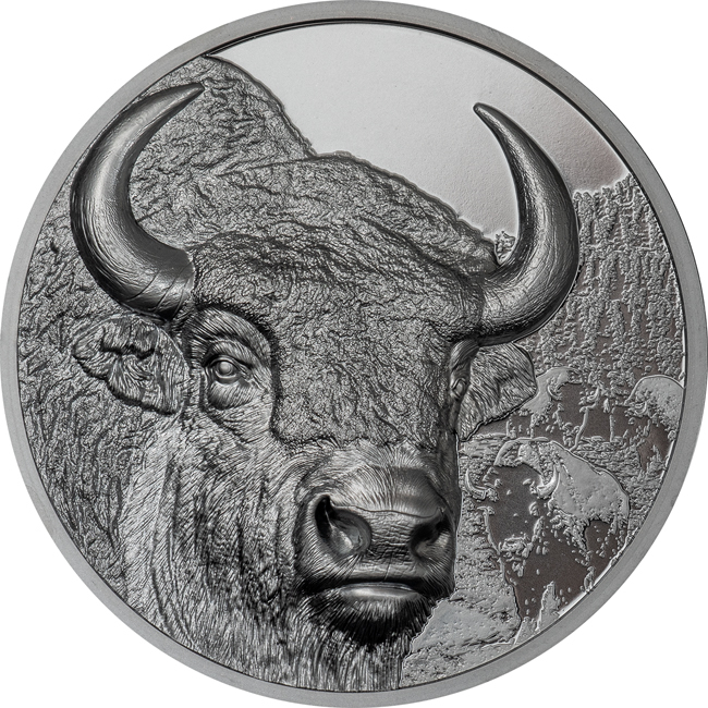Divoké Mongolsko - Zubr 2025, 2 oz stříbra