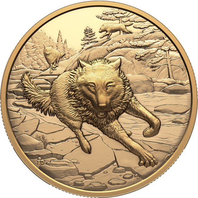 Velcí lovci: Šedý vlk, 1 oz zlata