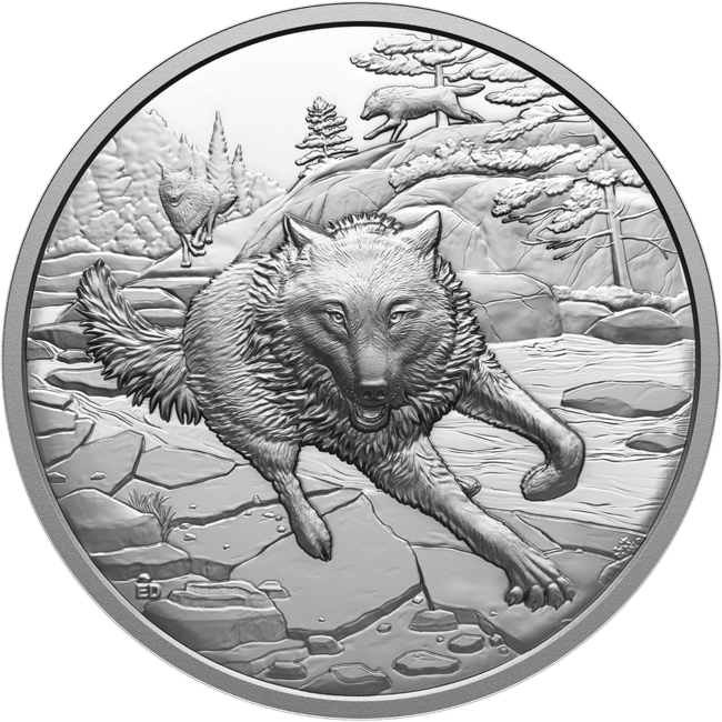 Velcí lovci: Šedý vlk, 1 oz sříbra