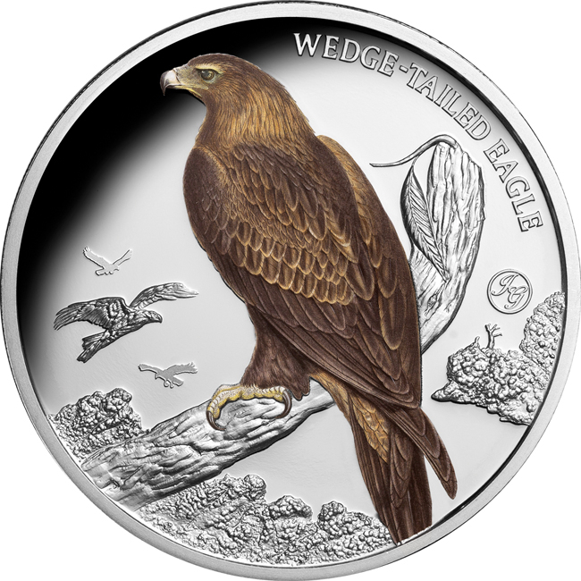 Orel klínoocasý 2025, 1oz stříbra v barvě, v etuji