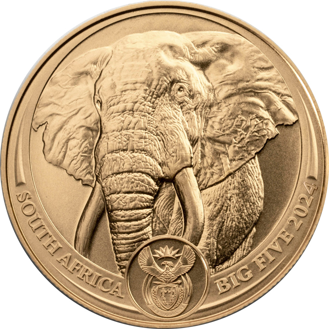 Zlatá mince Slon 2024 - Big Five, 1 oz