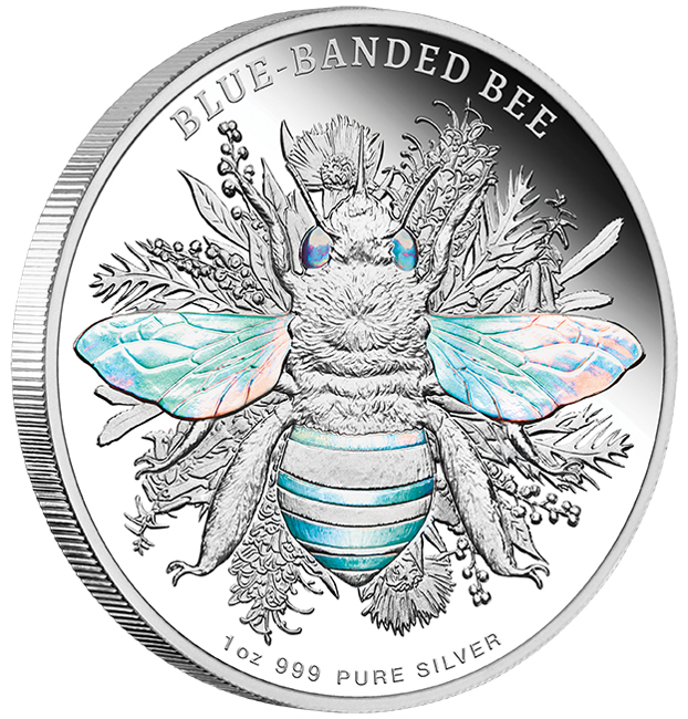 Modropásá včela (Amegilla cingulata), 1 oz stříbra v etuji