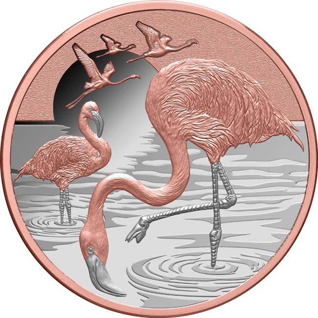 Flamingo