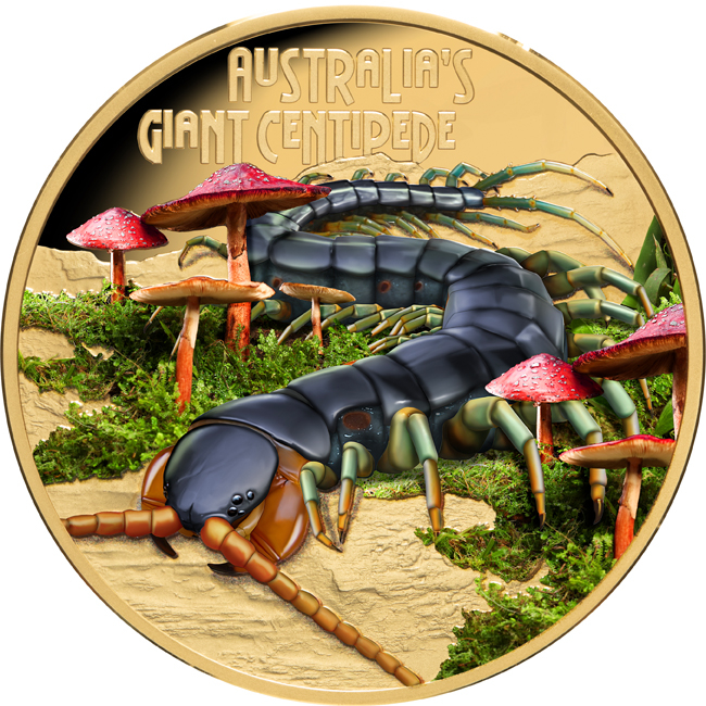 Riesen-Tausendfüßler