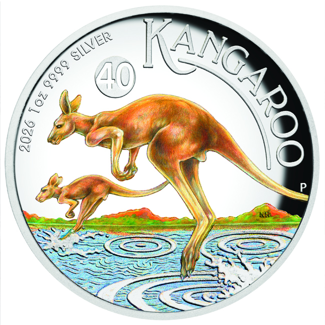 Australisches Känguru