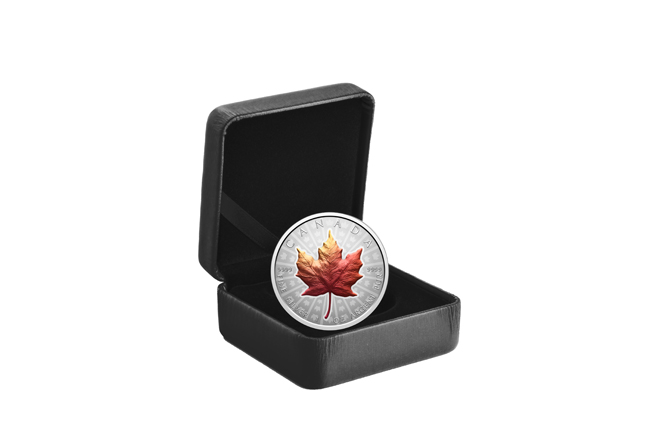 Maple Leaf